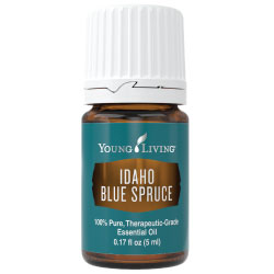 Idaho Blue Spruce Essential Oil