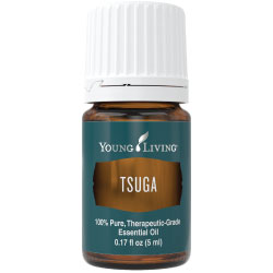 Tsuga Essential Oil