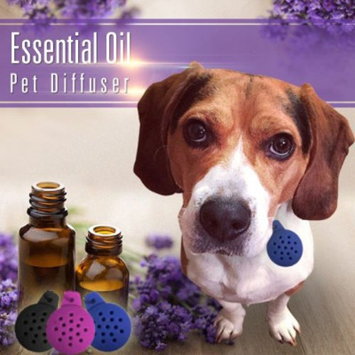 Essential Oil Pet Diffuser