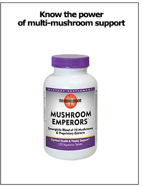 Mushroom Emperors - Mushroom Wisdom